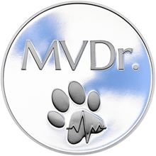 MVDr. - Titulární medal stříbrná